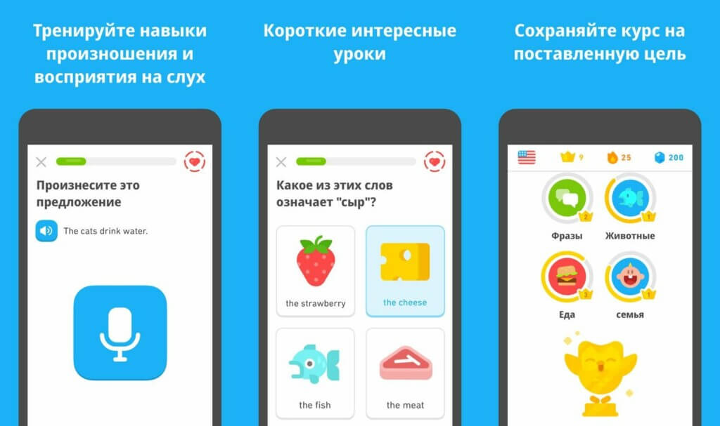 Duolingo - много языков и тем для изучения