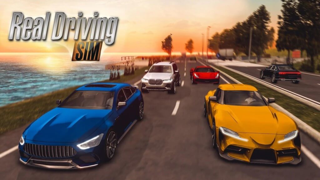 Игровой процесс в Real Driving Sim