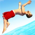 Flip Diving 3.3.6