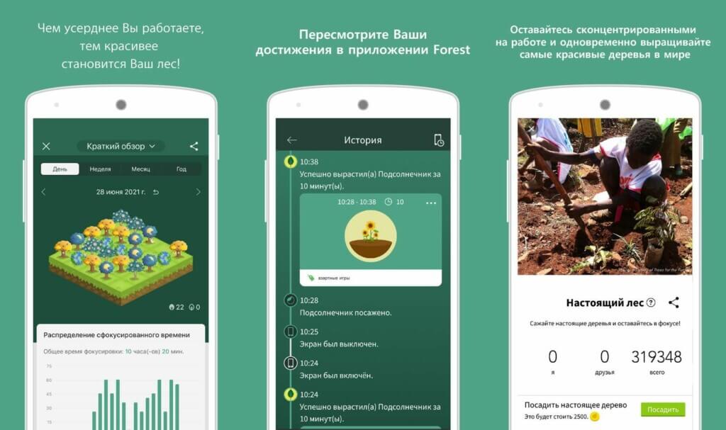 Система рейтингов и достижений в Forest: Будь сосредоточенным