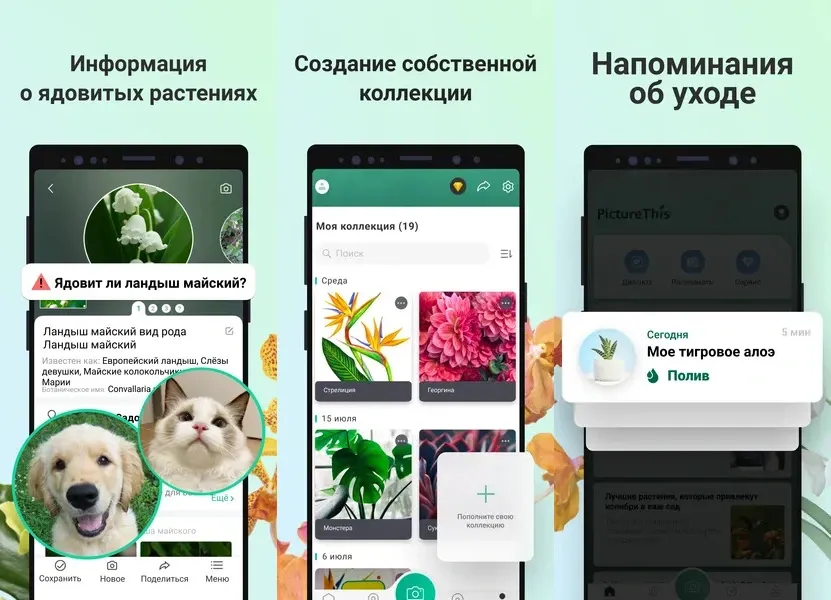 PictureThis – приложение, которое предоставляет подробную информацию о растениях