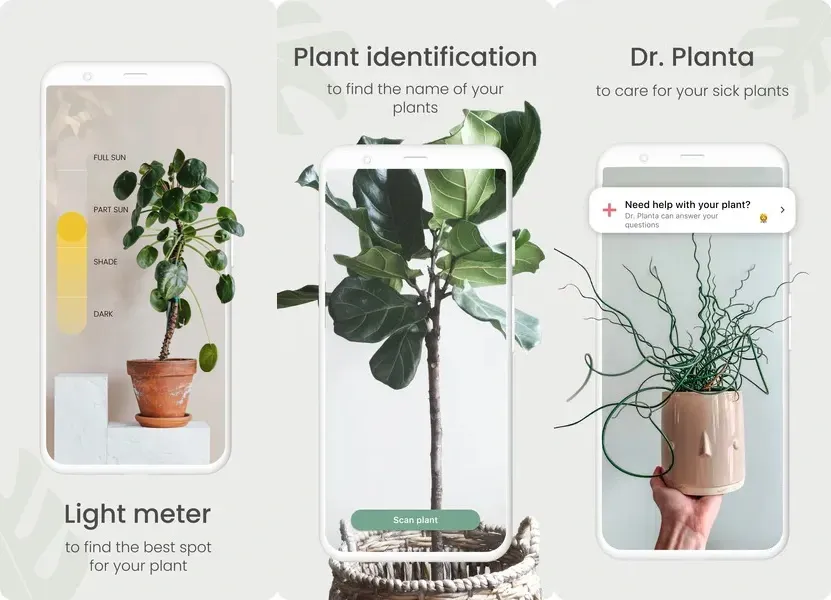 Planta — приложение для ухода за домашними растениями со множеством полезных функций