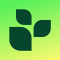 Lifesum 19.5.1