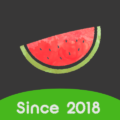 Melon VPN 9.0.074