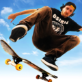 Skateboard Party 3 1.11.3