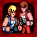 Double Dragon Trilogy 1.8.5