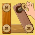 Wood Nuts & Bolts Puzzle 12.9