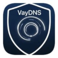 VayDNS 1.13.0